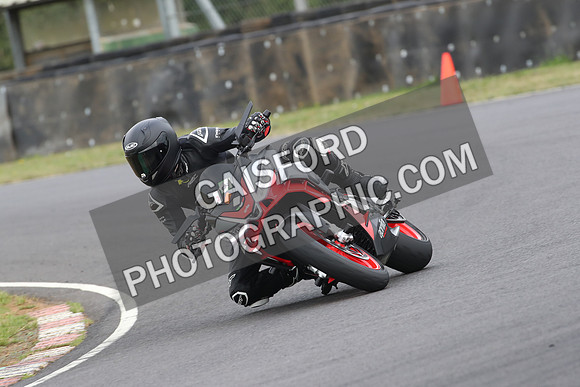 BIKES 0384