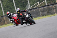 BIKES 0393