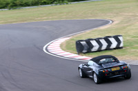 LOTUS 2172