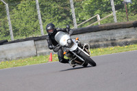 Fowlers 0571