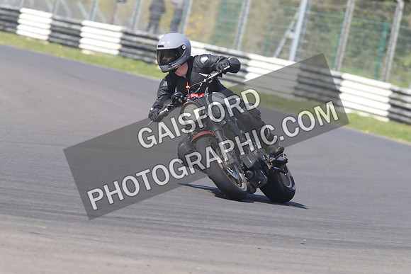 BIKES 1374