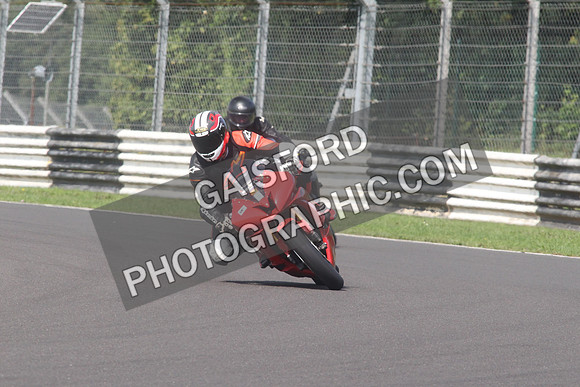 BIKES 1499