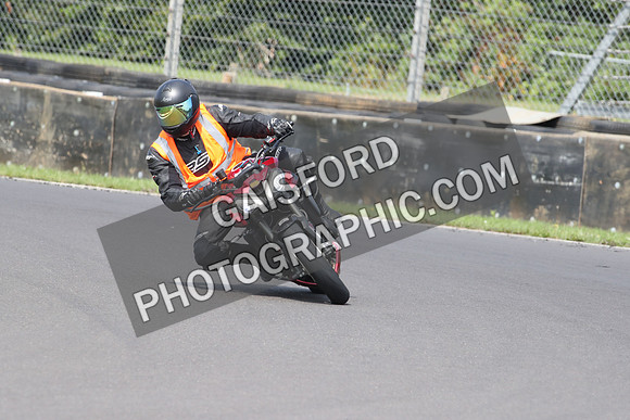 BIKES 0955