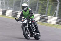 Triumph street