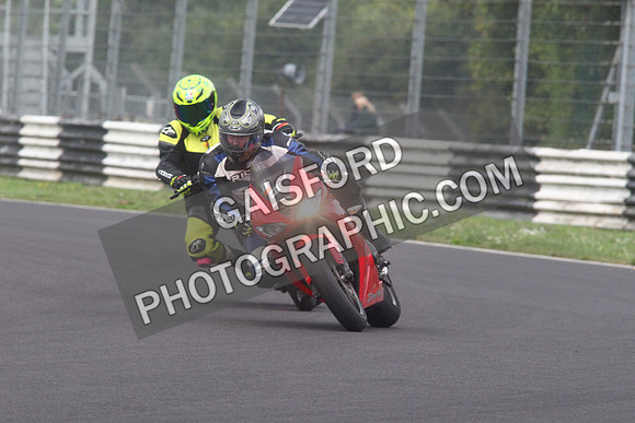 BIKES 1359