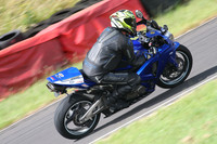 Fowlers 0466