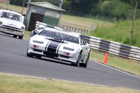 LOTUS 0554