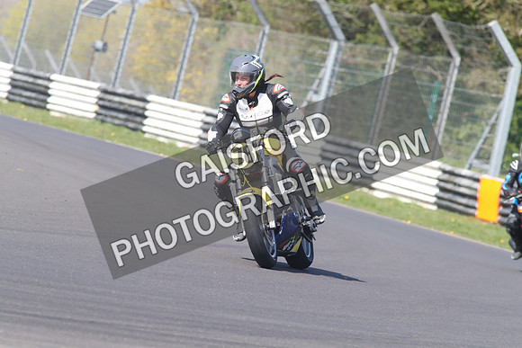 BIKES 1391