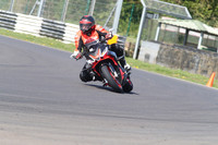 BIKES 1351
