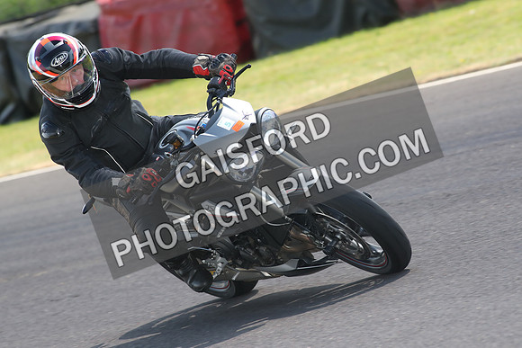 BIKES 1479