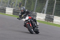 BIKES 1560