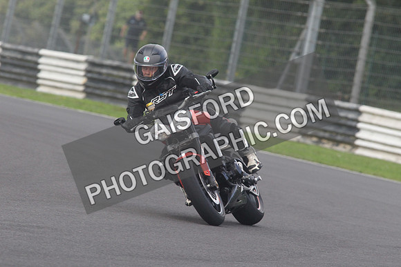 BIKES 1560