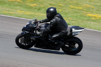 BIKES 1249