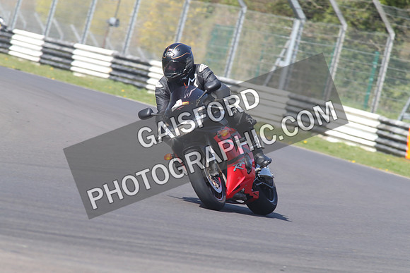 BIKES 1328