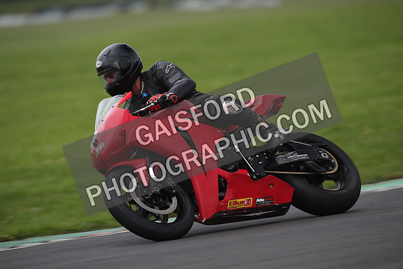 BIKES 1391