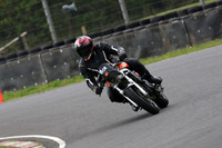 BIKES 0601