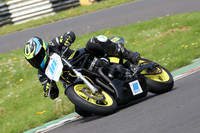 Fowlers 0454