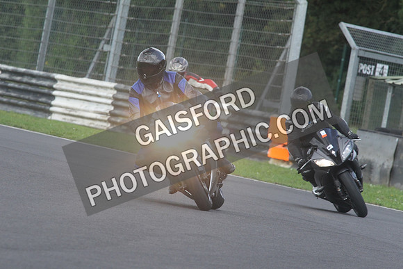 BIKES 1529