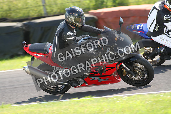 BIKES 2121