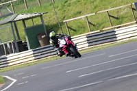 Fowlers 0269