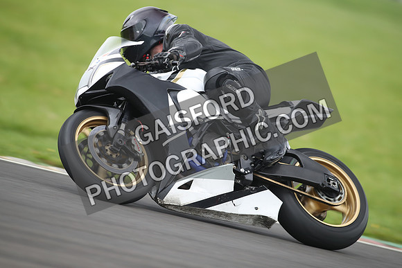 BIKES 1411