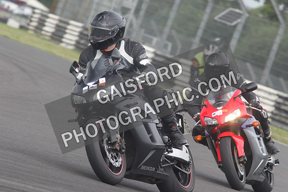 BIKES 1431