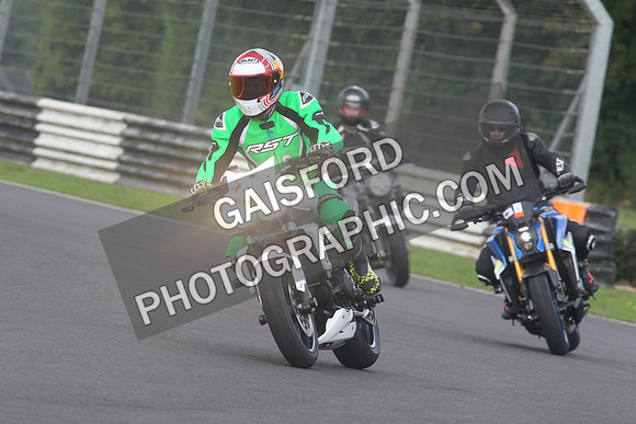 BIKES 1541
