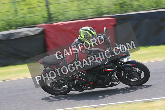 BIKES 1384