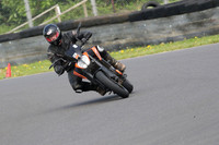Fowlers 0398