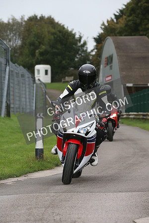 Fowlers 0110