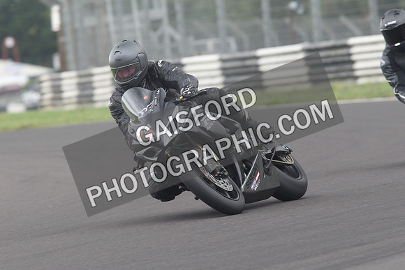 BIKES 1331