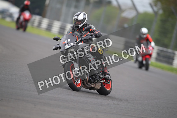 BIKES 1341