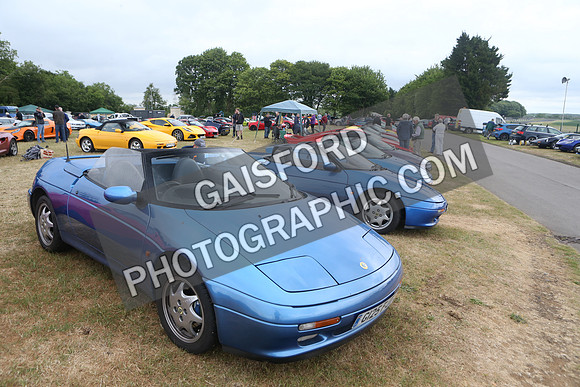 LOTUS 0207
