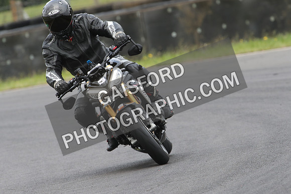 BIKES 0979