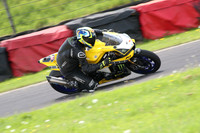 Fowlers 0994