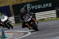 Fowlers 0346