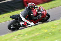 Fowlers 0846