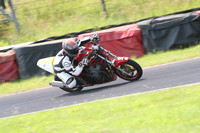 Fowlers 1254