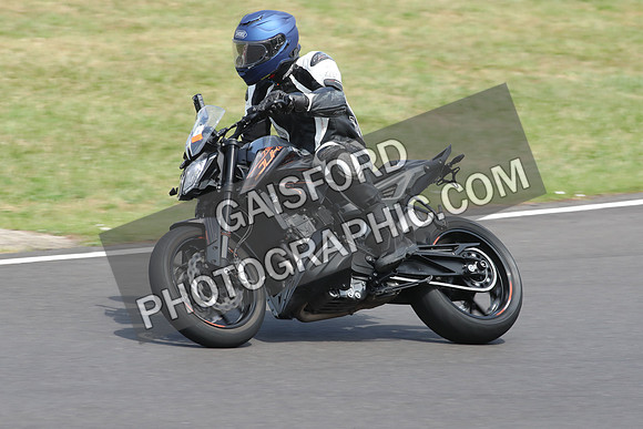 BIKES 0989