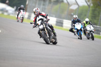 BIKES 1295