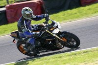 BIKES 1628