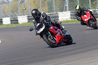 BIKES 1311
