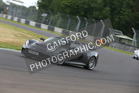 LOTUS 0081