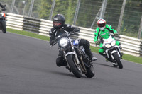BIKES 1591