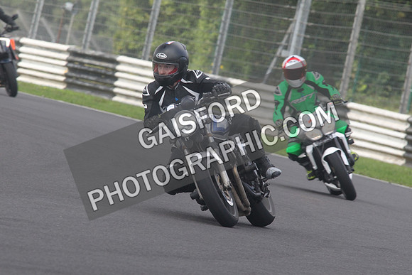 BIKES 1591