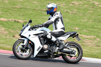 Fowlers 0565