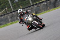 BIKES 0631