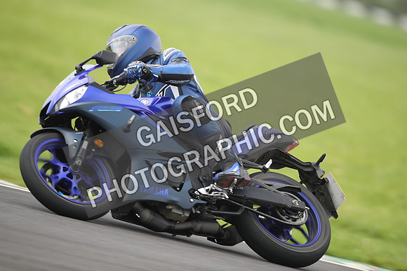 BIKES 1294