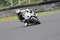Fowlers 0385