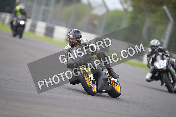 BIKES 1081